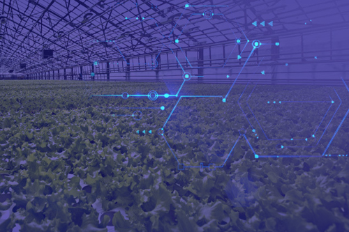 القابضة “ADQ” تعلن عن خطط لإطلاق أول مجمع تكنولوجيا زراعية في مدينة العين الصناعية تحت مظلة قطاع المدن الصناعية والمنطقة الحرة.
