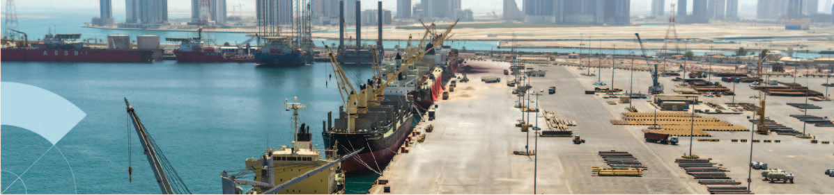 Zayed_Port_Banner